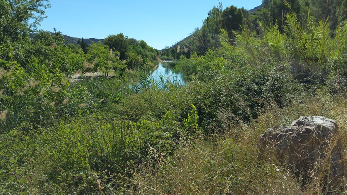 Rio Turia