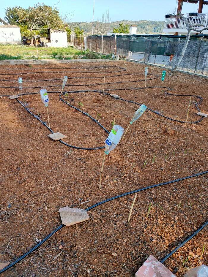 Irrigation system up and running